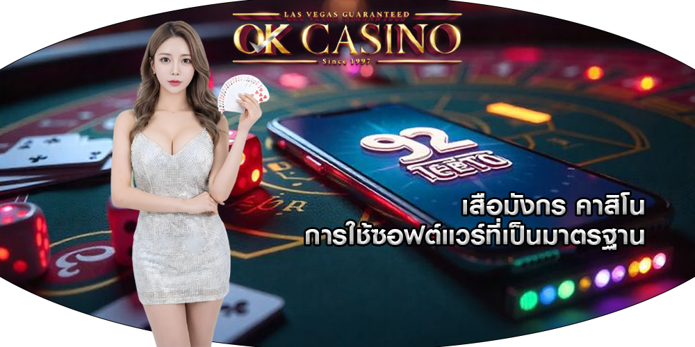 เสือมังกร คาสิโน การใช้ซอฟต์แวร์ที่เป็นมาตรฐาน